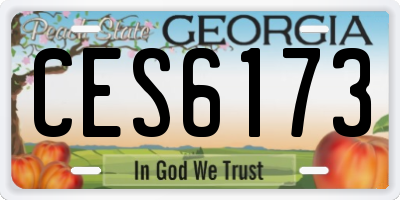 GA license plate CES6173