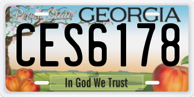 GA license plate CES6178
