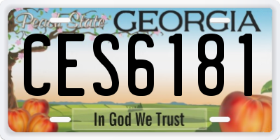 GA license plate CES6181