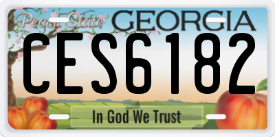 GA license plate CES6182