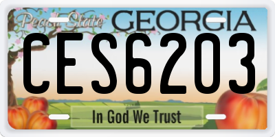 GA license plate CES6203