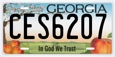 GA license plate CES6207