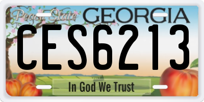GA license plate CES6213