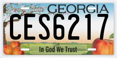 GA license plate CES6217