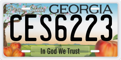 GA license plate CES6223