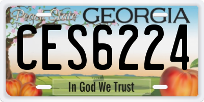 GA license plate CES6224