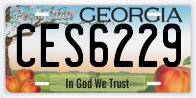 GA license plate CES6229
