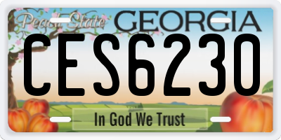GA license plate CES6230