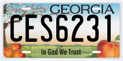 GA license plate CES6231