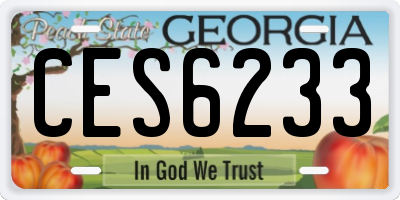 GA license plate CES6233