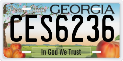 GA license plate CES6236