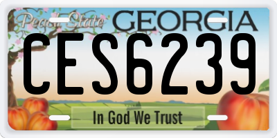 GA license plate CES6239