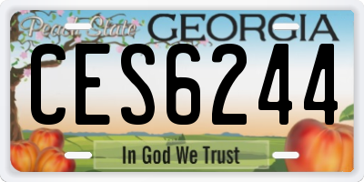 GA license plate CES6244