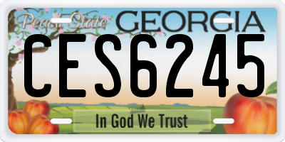 GA license plate CES6245