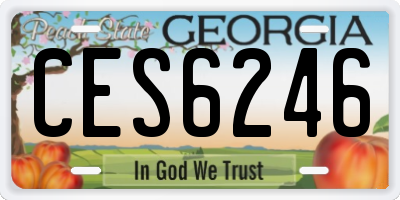 GA license plate CES6246
