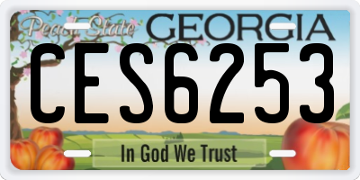 GA license plate CES6253