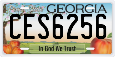 GA license plate CES6256