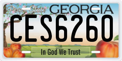 GA license plate CES6260