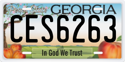 GA license plate CES6263