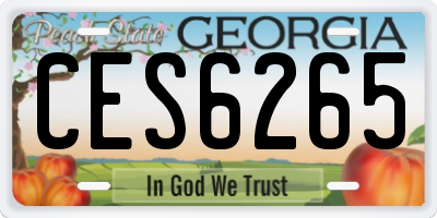 GA license plate CES6265