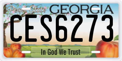 GA license plate CES6273