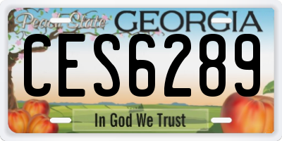 GA license plate CES6289