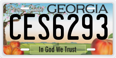 GA license plate CES6293