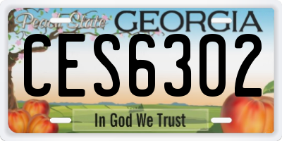 GA license plate CES6302