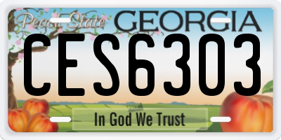 GA license plate CES6303