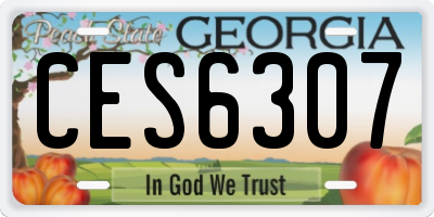 GA license plate CES6307