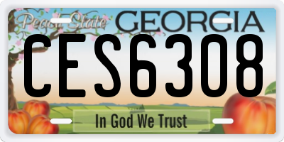 GA license plate CES6308