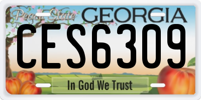 GA license plate CES6309