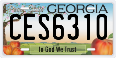 GA license plate CES6310