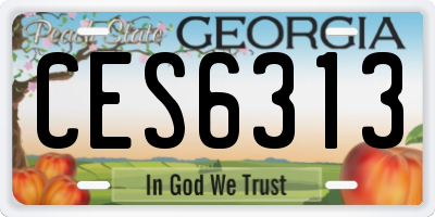 GA license plate CES6313