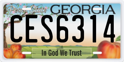 GA license plate CES6314