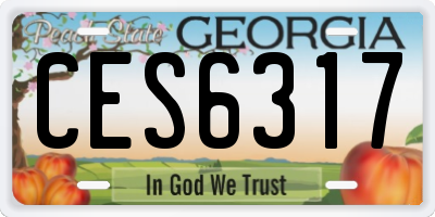 GA license plate CES6317