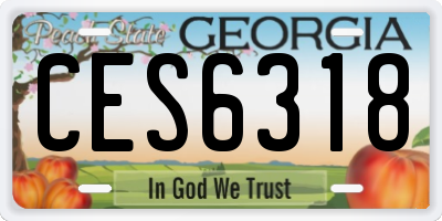 GA license plate CES6318