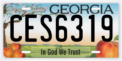 GA license plate CES6319