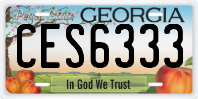 GA license plate CES6333