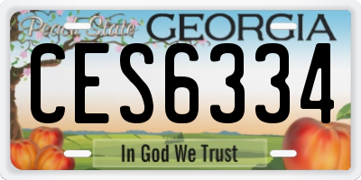 GA license plate CES6334