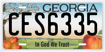 GA license plate CES6335