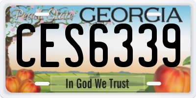 GA license plate CES6339