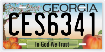 GA license plate CES6341
