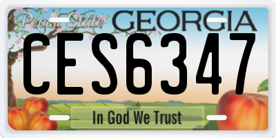 GA license plate CES6347