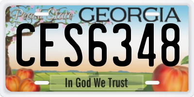 GA license plate CES6348