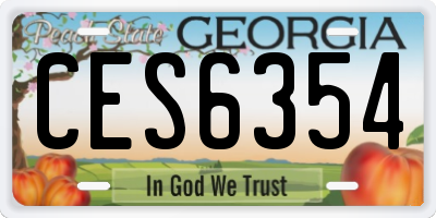 GA license plate CES6354