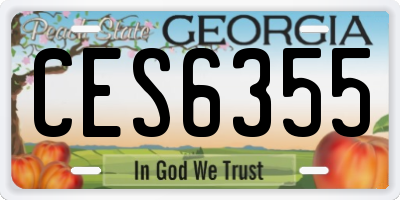 GA license plate CES6355