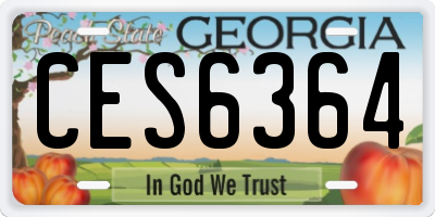 GA license plate CES6364