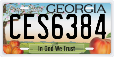 GA license plate CES6384