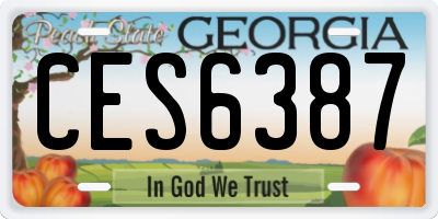 GA license plate CES6387